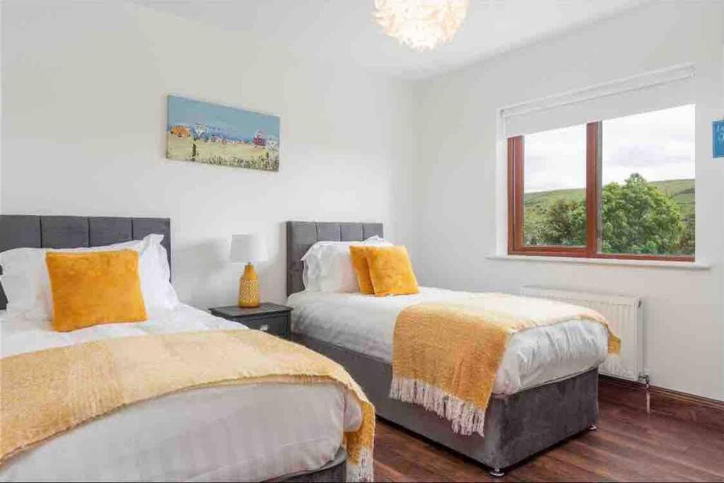 Wonderful Coastal Home In Dingle Town Εξωτερικό φωτογραφία