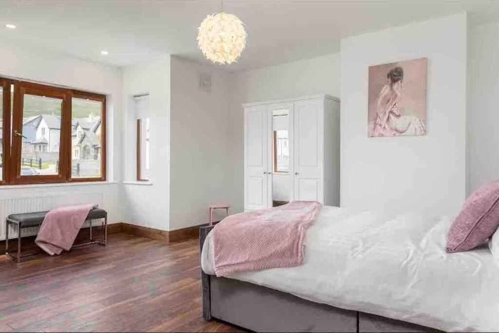 Wonderful Coastal Home In Dingle Town Εξωτερικό φωτογραφία