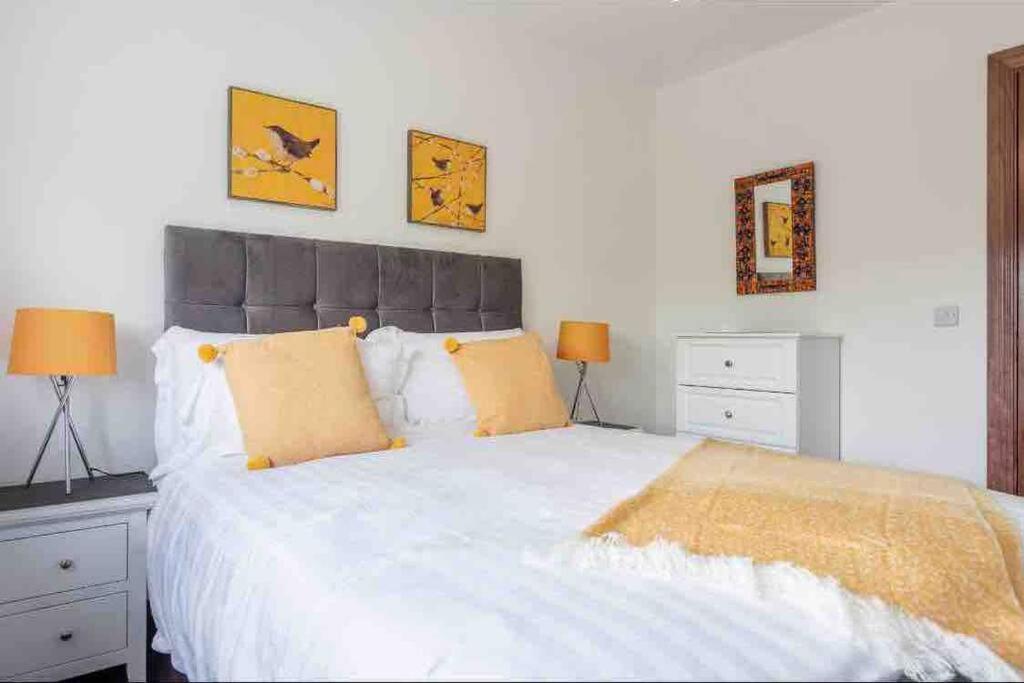 Wonderful Coastal Home In Dingle Town Εξωτερικό φωτογραφία